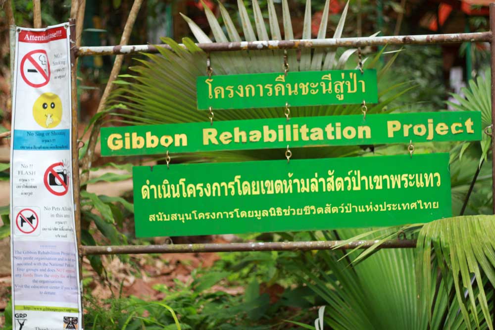 Центр реабилитации гиббонов