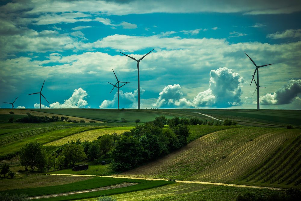 Чего стоят эти ветряные мельницы посреди идеальных зеленых полей
