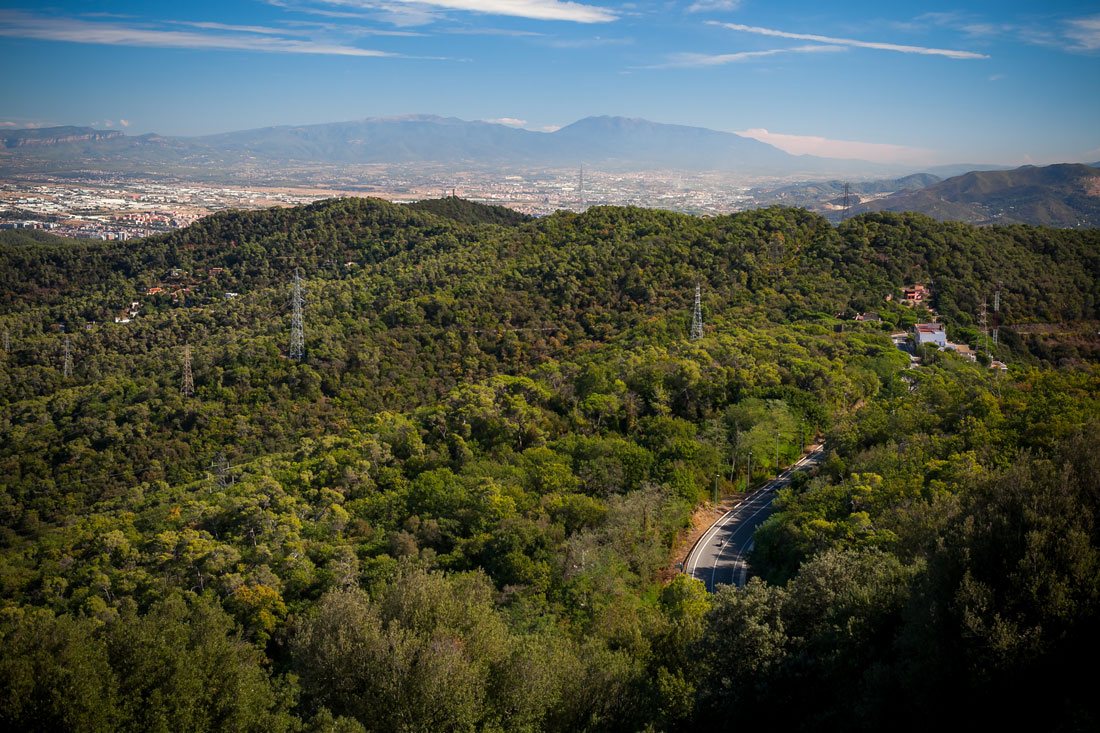 Удивительные зеленые пейзажи Барселоны и одинокая дорога уходящая вдаль