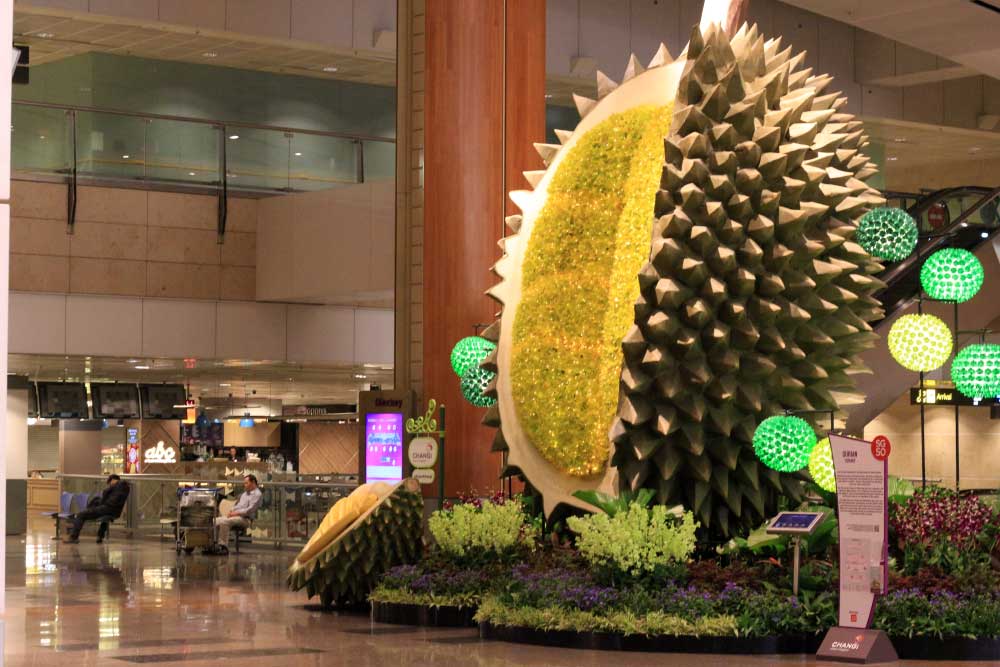 Несмотря на строгий запрет провоза дуриана в аэропорту, в Чанги (аэропорт Сингапура) стоит такая вот композиция:)