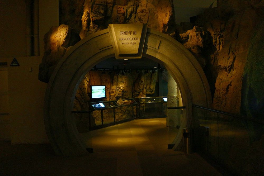 Музей истории Гонконга - 400 млн. лет назад