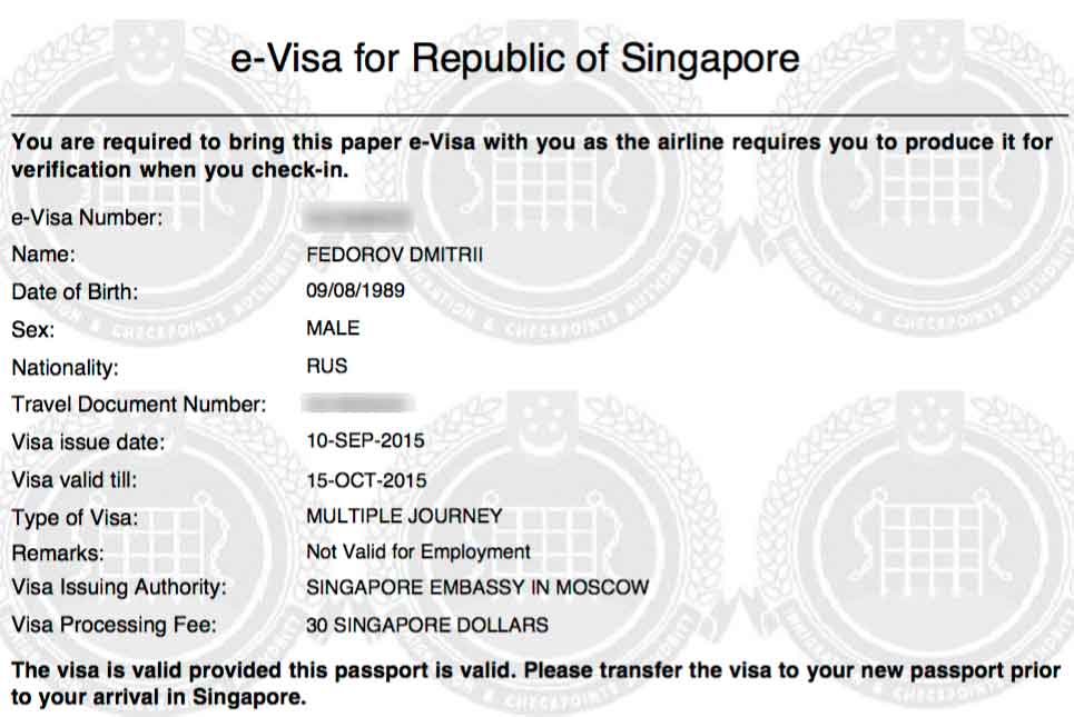 Вот так выглядит виза в Сингапур