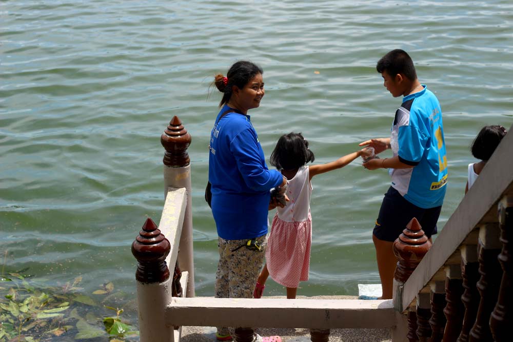 В озере, которое находится на территории храма можно покормить рыбок и черепах. Корм продается на входе в храм:)