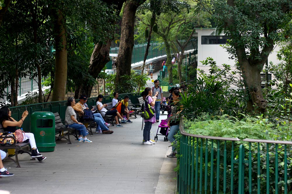 Зоопарк и ботанический сад в Гонконге - популярное место для семейного отдыха